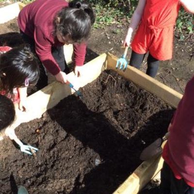 Nursery Vegetable Patch