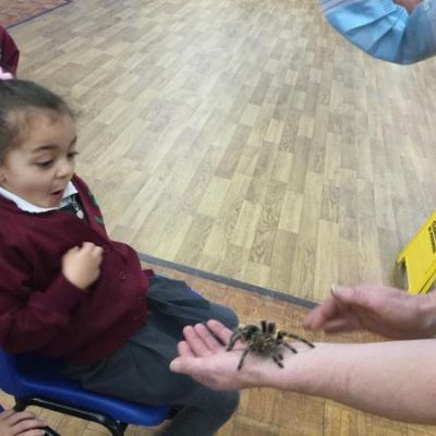 Year 1 Animal Magic Day January 2022
