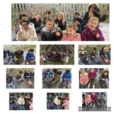 Key Stage 1 Forest School sessions